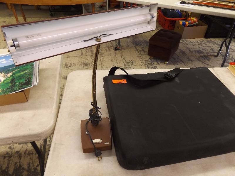 Carry Cushion and Desk Lamp
