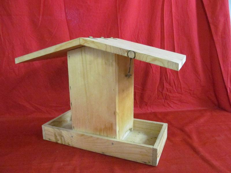 bird feeder