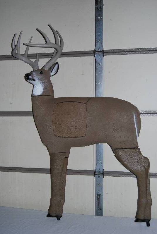 Sportsman 122