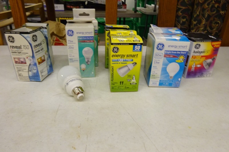 lot 47 image: Bulbs