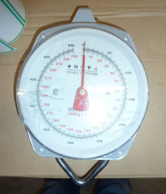 New 550 lb game scale...