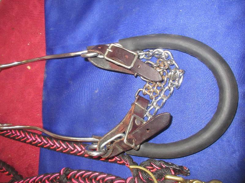 NEW HACKAMORE AND BRAIDED REIGNS