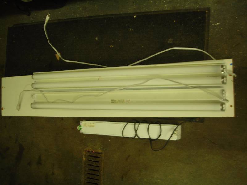 Assorted Fluorescent Lights