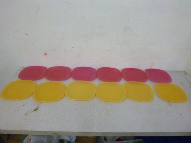 lot 262 image: 12 Plastic Plates