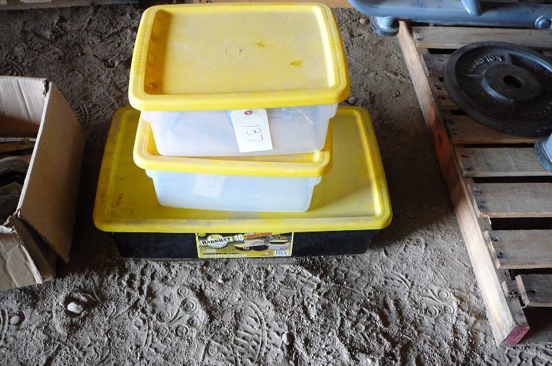 lot 137 image: 3- Totes