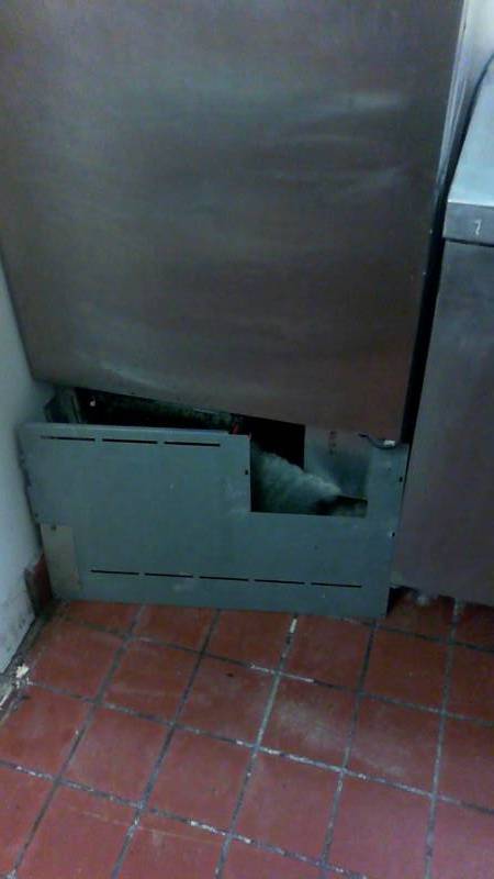 lot 11 image: True Freezer