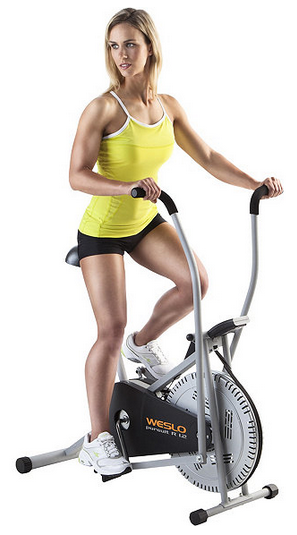 Weslo Pursuit Fan Exercise Bike