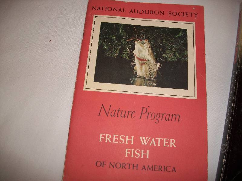 Vintage Fishing Books
