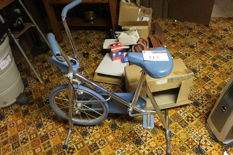 lot 113 image: Stationary Bike