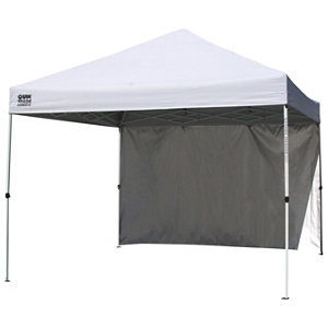 lot 16 image: 10 x 10 Commercial Canopy