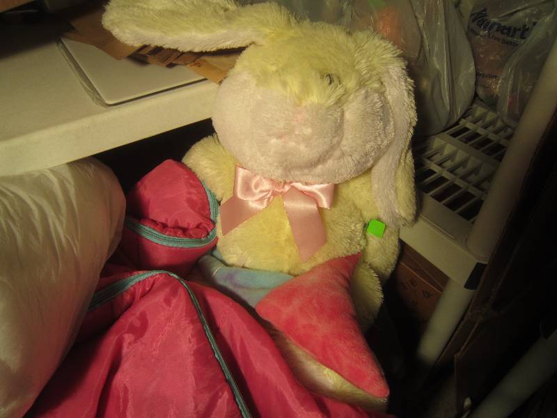 lot 966 image: LOT - Bunny, Sleeping Bag & Snow