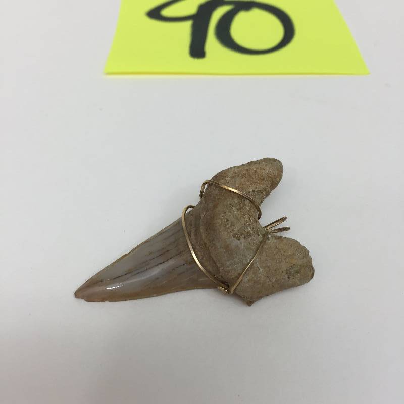 lot 90 image: Shark Tooth Pendant, Wire-wrapped.