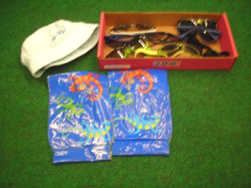 lot 66 image: Lot Of Sunglasses, Swim Wings, Beach Hat