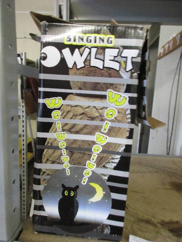 Singing owl