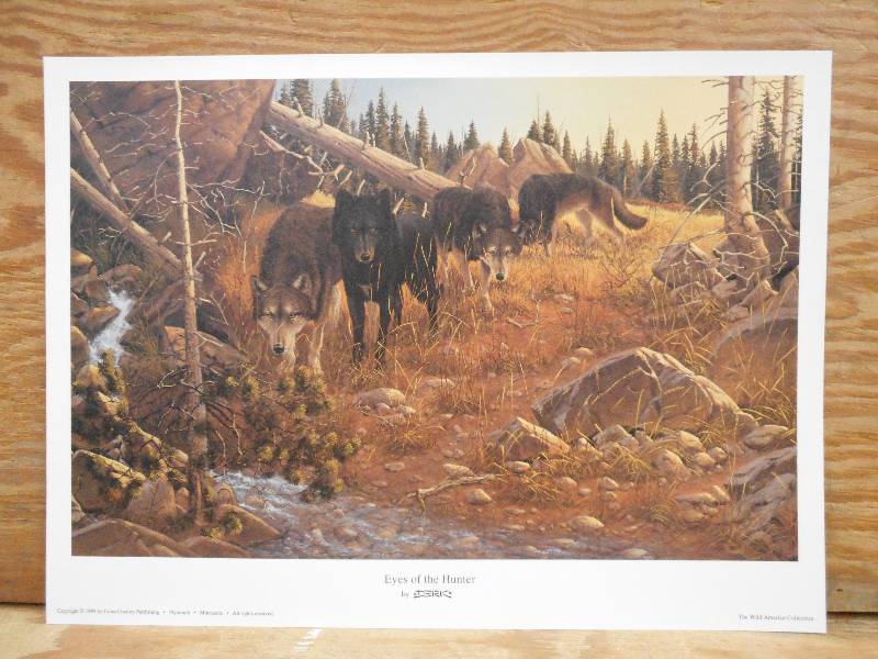 Approx (200) DERK Prints Eye Of Th...
