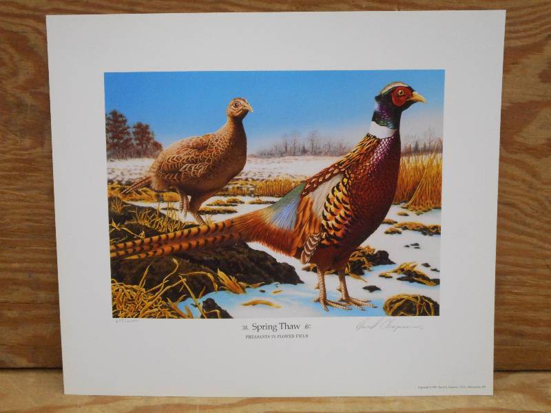 Approx (200) David Chapman Prints, ...