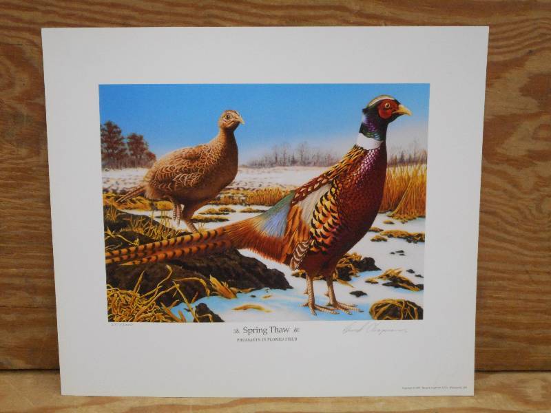 Approx (200) David Chapman Prints, ...