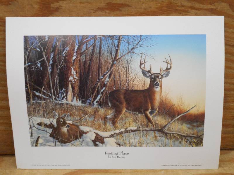 Approx (9) Jim Hansel Prints Resti...