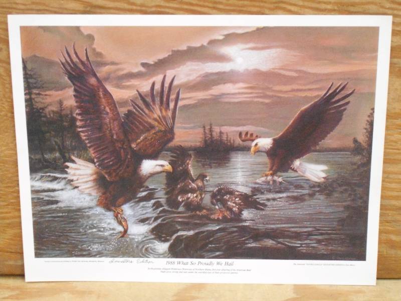 Approx (200) Don Marco Prints 1988...