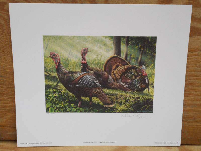 Approx (200) David Chapman Prints ...