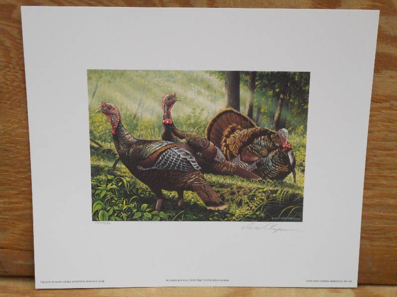 Approx (200) David Chapman Prints ...