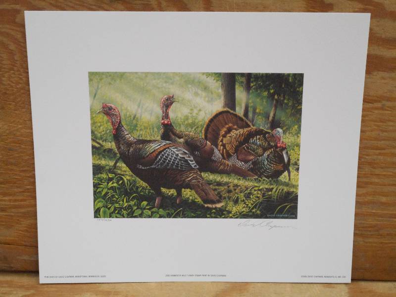 Approx (200) David Chapman Prints ...