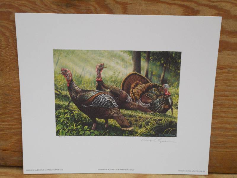 Approx (200) David Chapman Prints ...