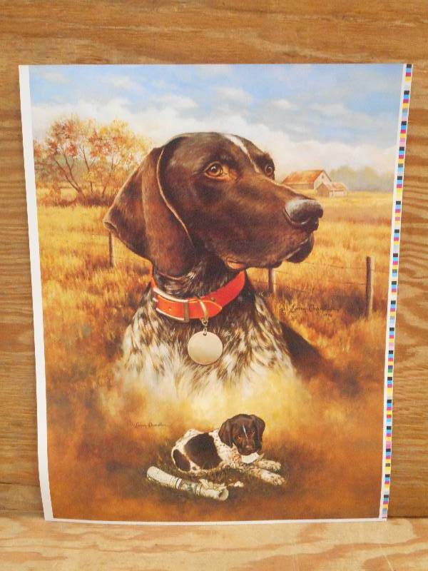 Approx (100) Retreiver Prints, Meas...
