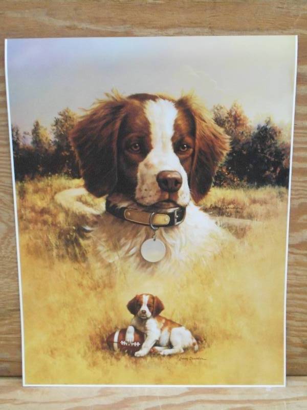 Approx (125) Retreiver Prints, Meas...