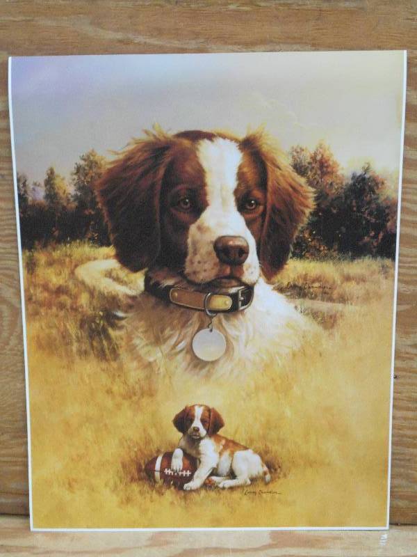 Approx (125) Retreiver Prints, Meas...