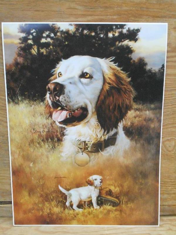 Approx (150) Retreiver Prints, Meas...
