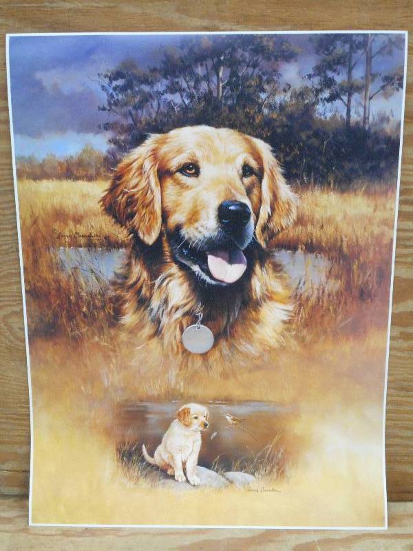 Approx (125) Retreiver Prints, Meas...
