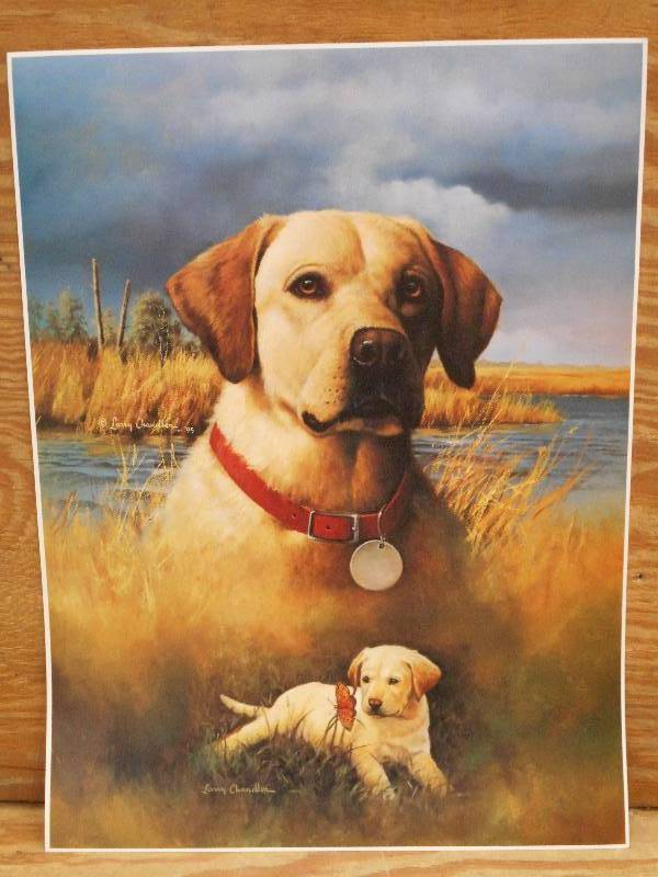 Approx (125) Retreiver Prints, Meas...