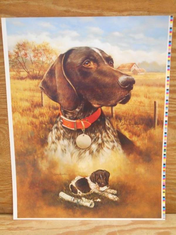 Approx (100) Retreiver Prints, Meas...