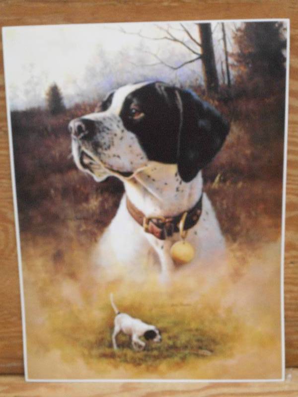 Approx (100) Retreiver Prints, Meas...