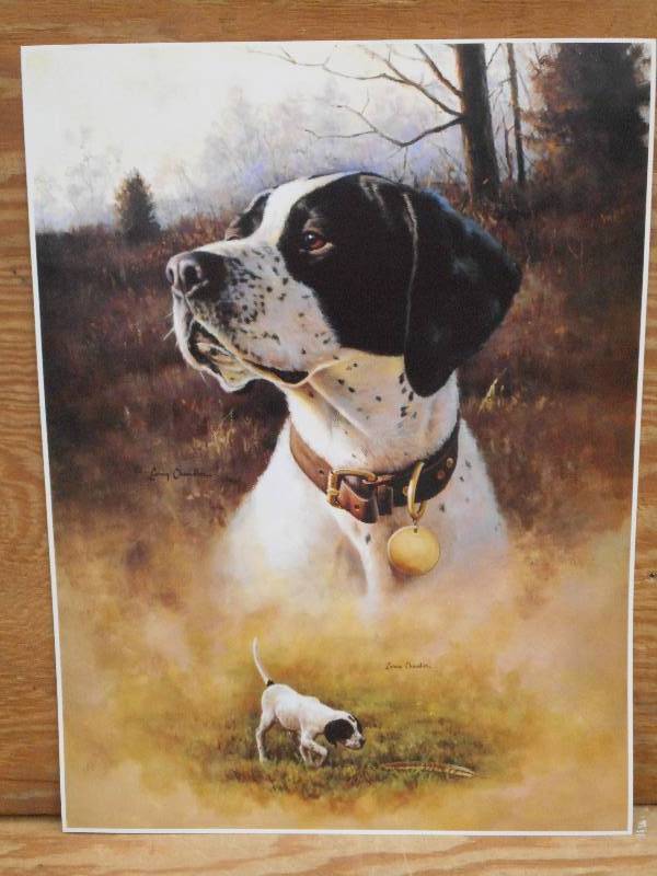 Approx (100) Retreiver Prints, Meas...