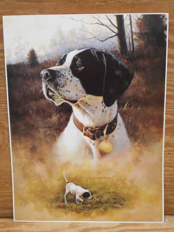 Approx (100) Retreiver Prints, Meas...