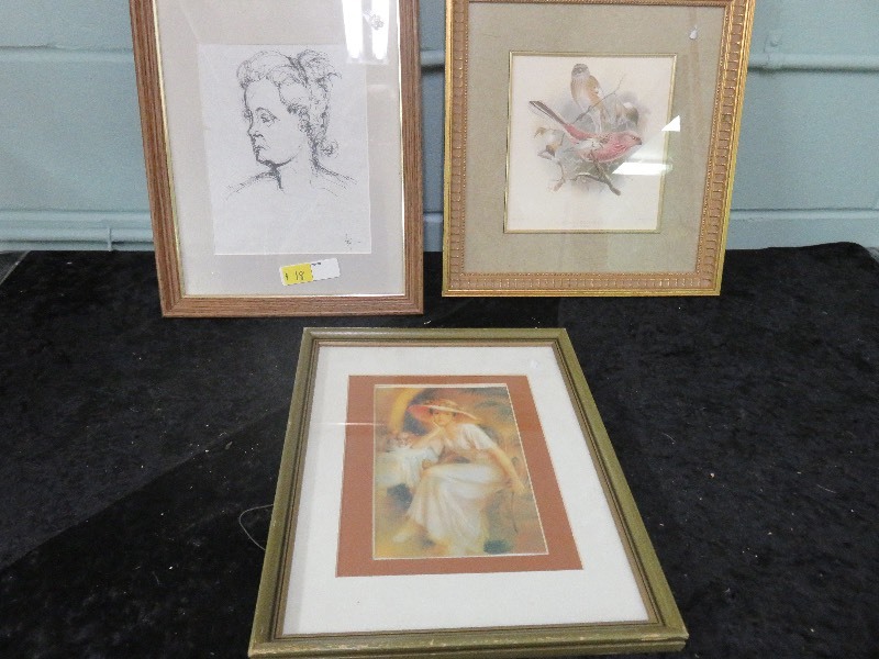 Lot of (3) pictures