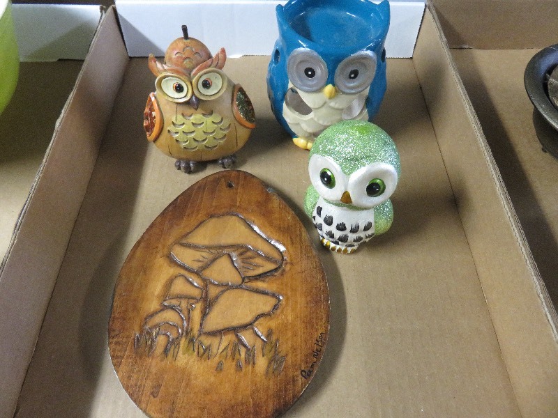 Owl lot