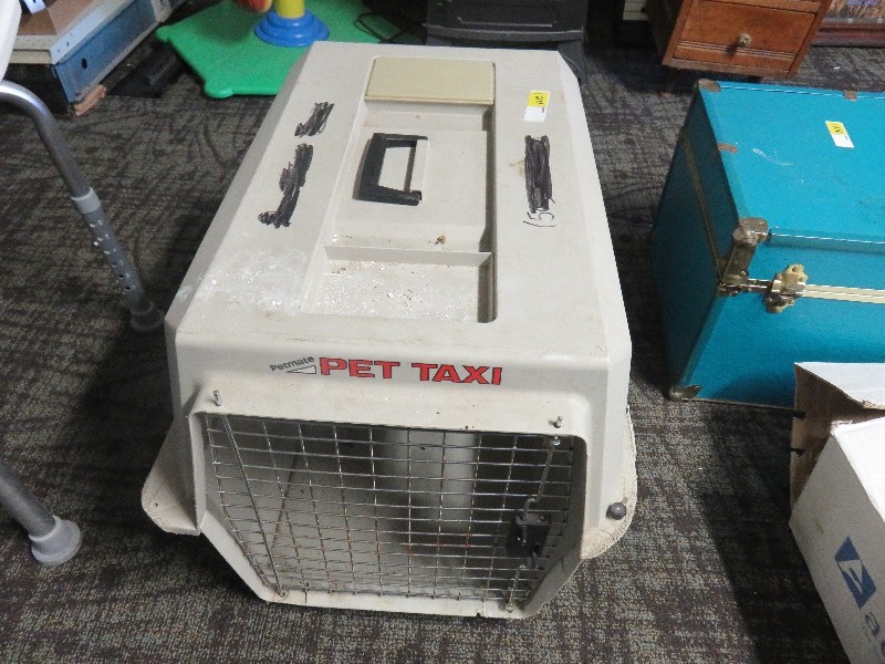 pet taxi