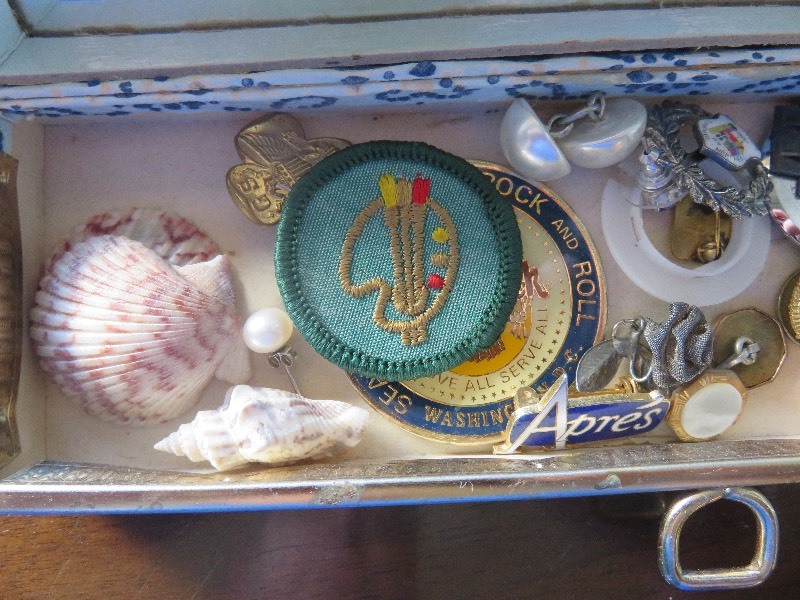 unassorted pins