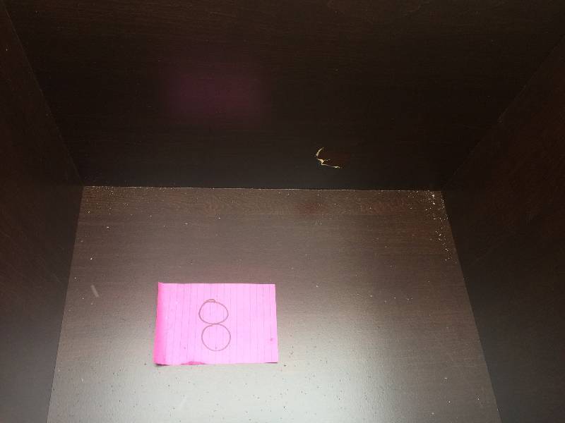 lot 8 image: Brinkhill 48 in. Vanity Cabinet Only in Chocolate small damage in backside New