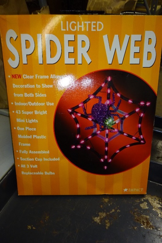 Lighted spider web