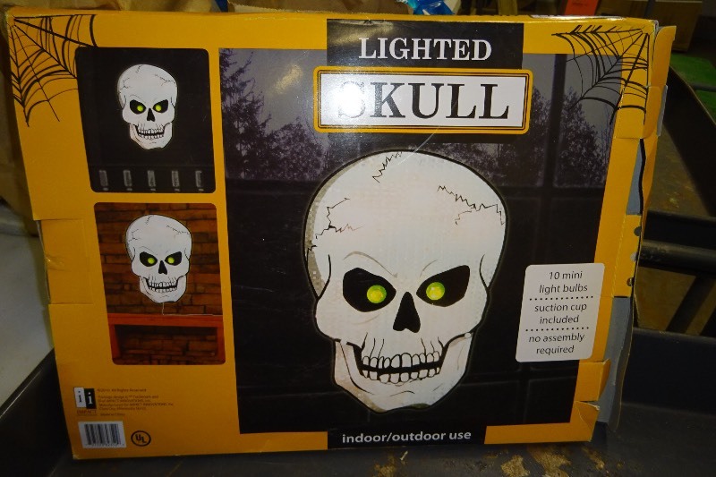 Lighted Skull