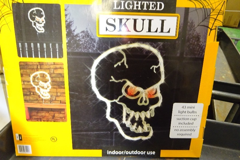 Lighted Skull