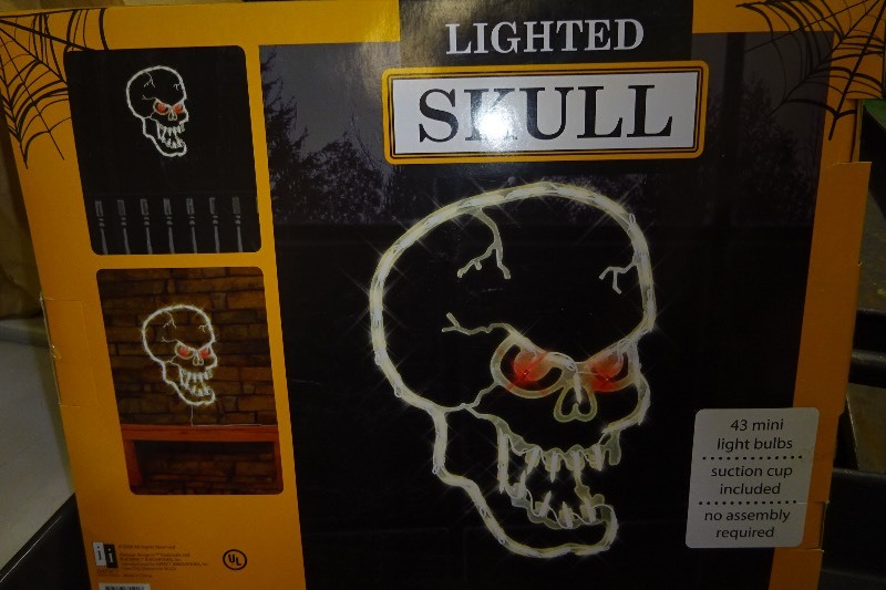 Lighted Skull