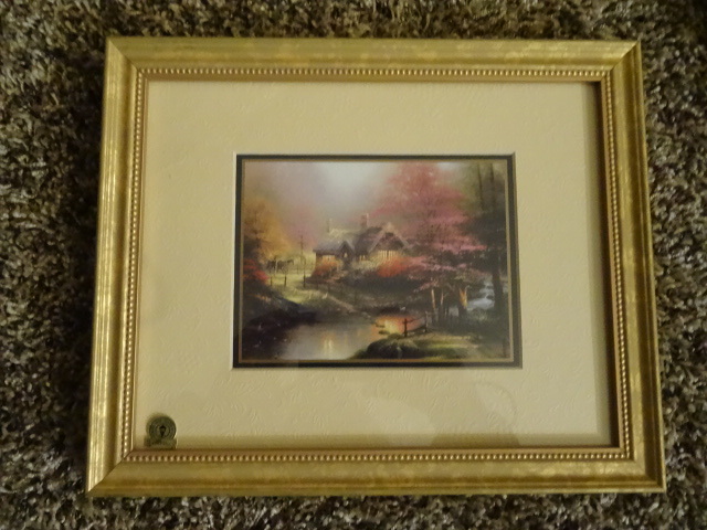 Framed Print