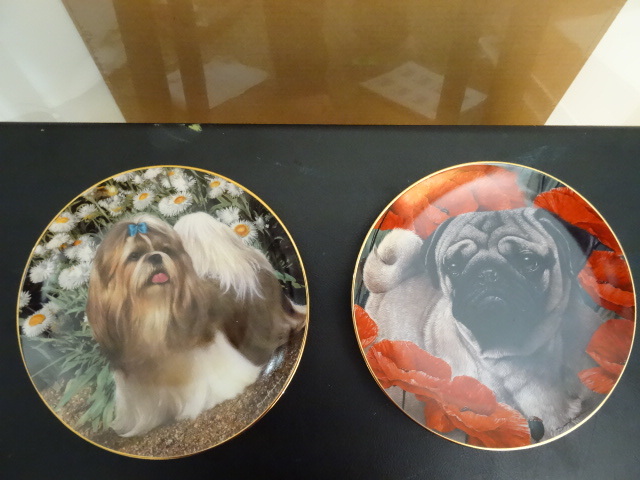 2-Plates