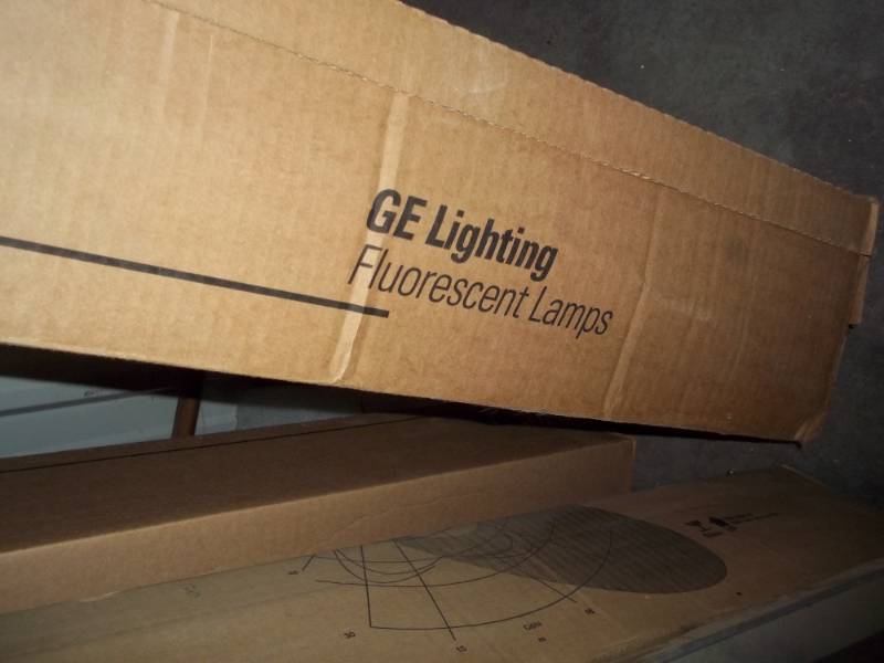 lot 136 image: 21 count new light bulbs florescent T-8