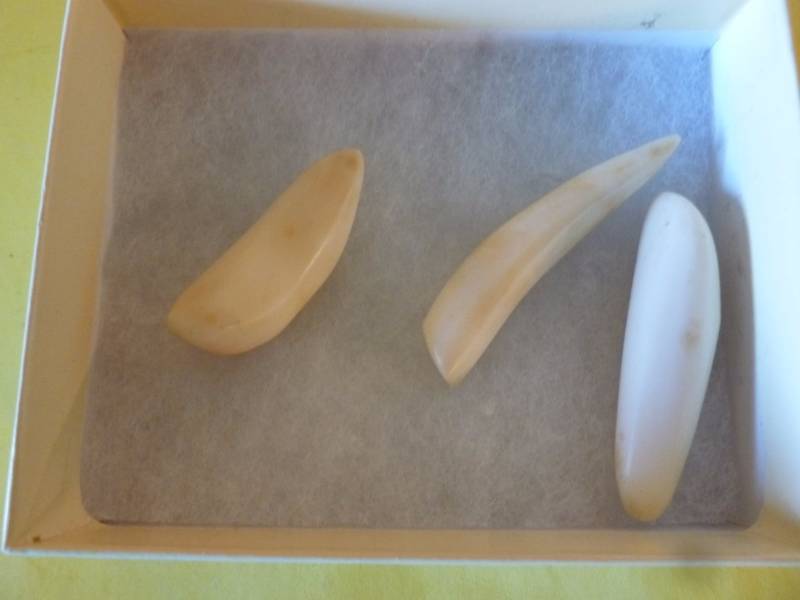 lot 74 image: Bear Teeth